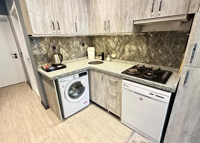 Blue Moonrise ホテル イスタンブール