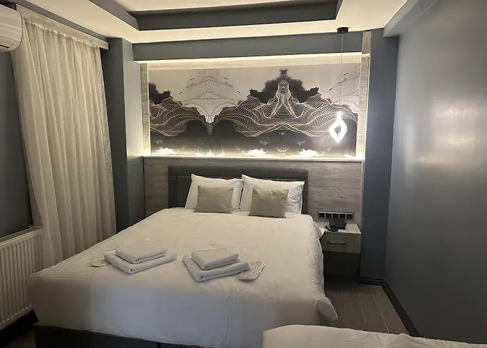 Blue Moonrise ホテル イスタンブール